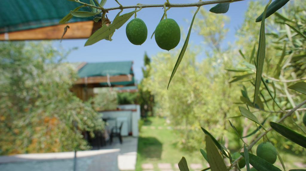 Agriturismo Tres Montes سورسو المظهر الخارجي الصورة