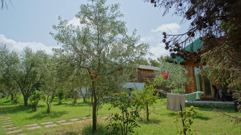 Agriturismo Tres Montes سورسو المظهر الخارجي الصورة